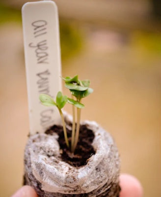 Plant label markers