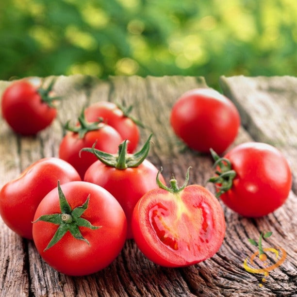 Buy Ace 55 tomato seeds online in the USA! | Low Acid, Medium Heirloom