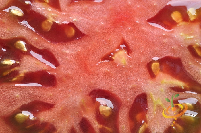 Cherokee Purple indeterminate tomato seeds from SeedsNow, showing ripe purple tomatoes with green stems and leaves.