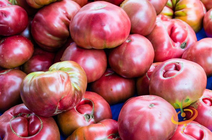 Cherokee Purple indeterminate tomato seeds from SeedsNow, showing a close-up of ripe purple heirloom tomatoes.