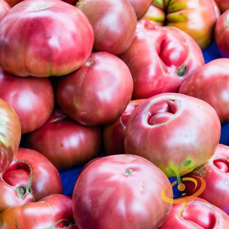 Buy Cherokee Purple tomato seeds online in the USA! | Vibrant purple!