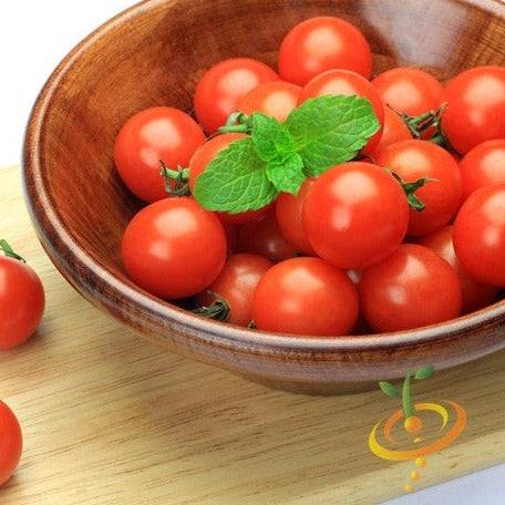 Buy Tiny Tim dwarf tomato seeds online in the USA! | Small 1" fruits!
