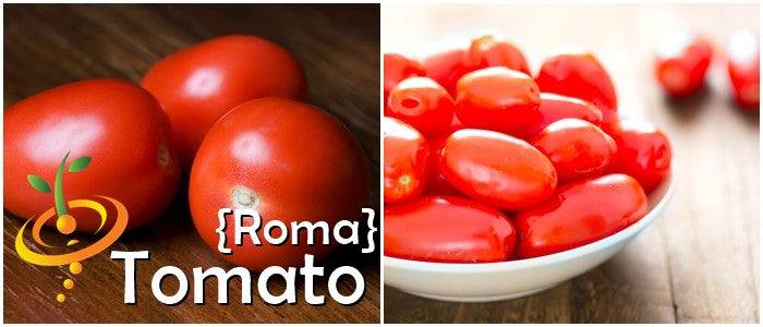 Tomato Roma seeds | Plum-shaped red tomatoes on wooden surface and in a white bowl