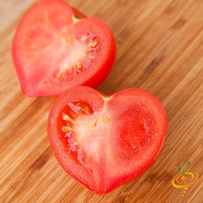 Buy high-quality Pink Tomato Oxheart seeds online from the USA now!