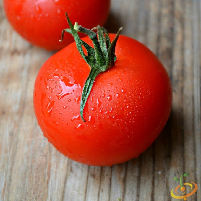 Tomato Atkinson Seeds | Heat & Drought Tolerant Indeterminate Variety