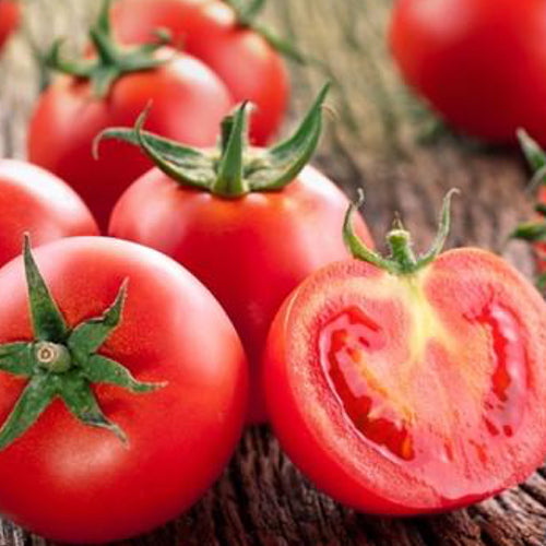 Buy Sub Arctic Plenty tomato seeds online in the USA | 45 days to grow