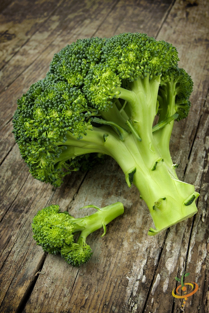 *FREE GIFT* Broccoli Di Cicco Seed Kit