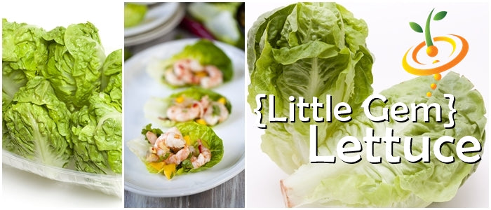 *FREE* Little Gem Lettuce Seed Kit included w/any-size order today!
