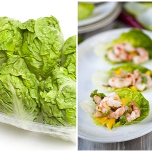 *FREE* Little Gem Lettuce Seed Kit included w/any-size order today!