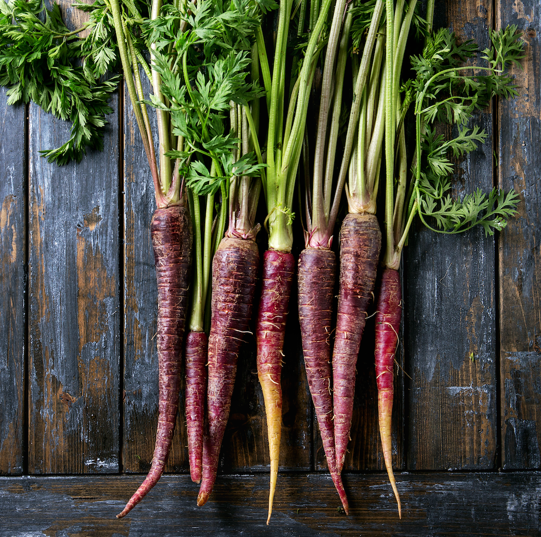 Carrot - Purple, 7" Long