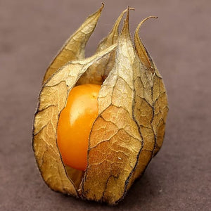 Pineapple tomatillo seeds from SeedsNow, showing small green seeds for planting and growing tropical fruit-bearing plants.