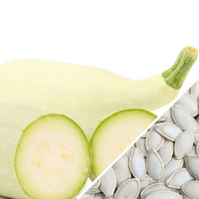 Fresh white seeds of Summer Marrow squash from SeedsNow, showing the smooth, rounded squash with a light green skin.